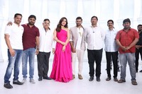 Prati Roju Pandage Press Meet